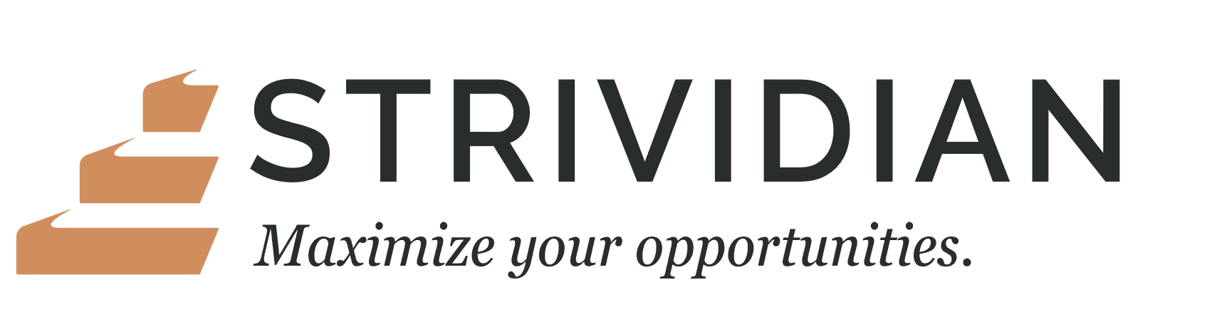 Strividian Logo with Tag